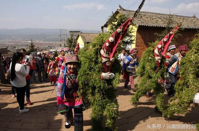 第一朵中国马缨花杜鹃王即将绽放，你确定不来一睹风采？