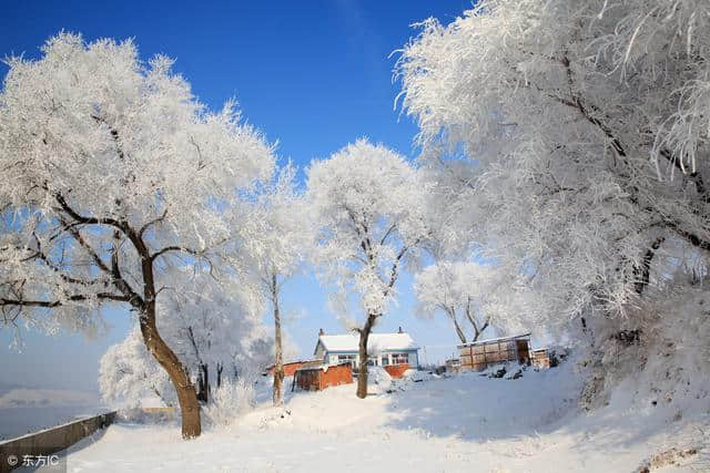 描写雪的句子，美翻了！