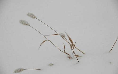 朋友圈关于下雪的说说心情短语