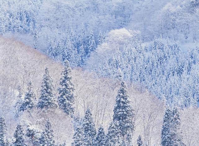 九首写雪的古诗词！九种不同的境界！沁园春雪当之无愧第一！