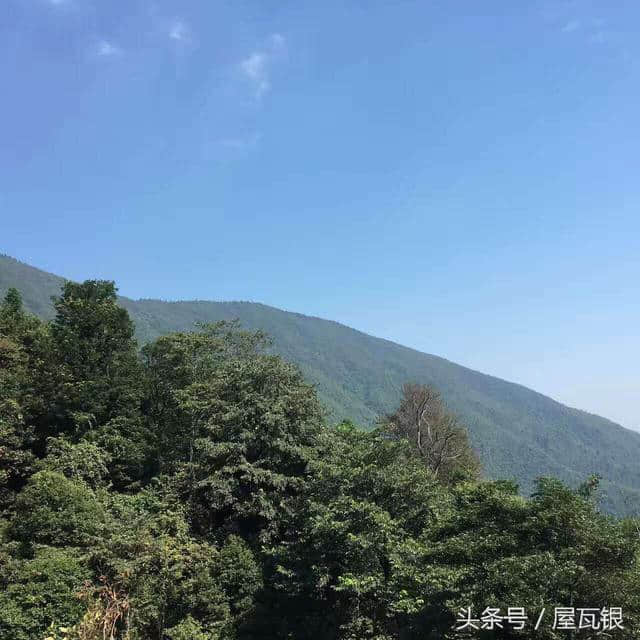 越王山之美--重阳登高好时节