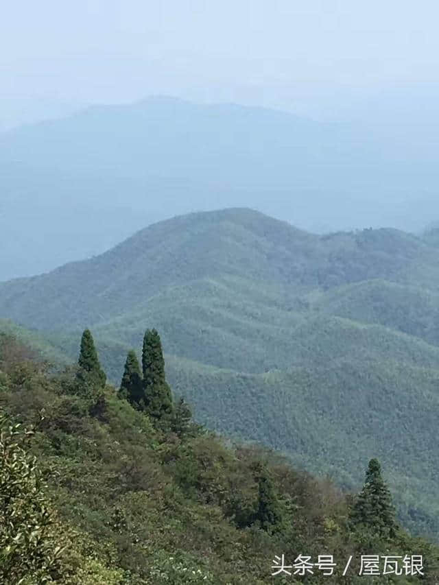 越王山之美--重阳登高好时节