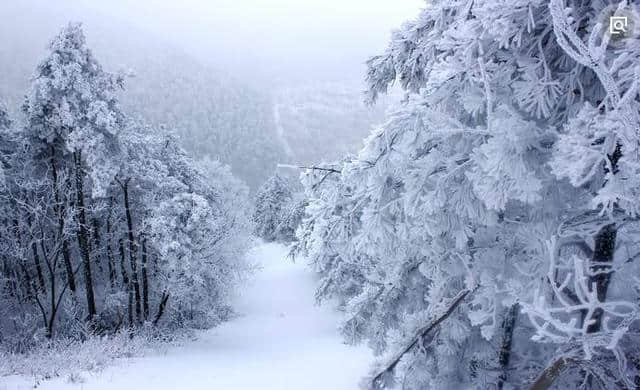 「诗词鉴赏」那些你未听说过的大雪诗词！