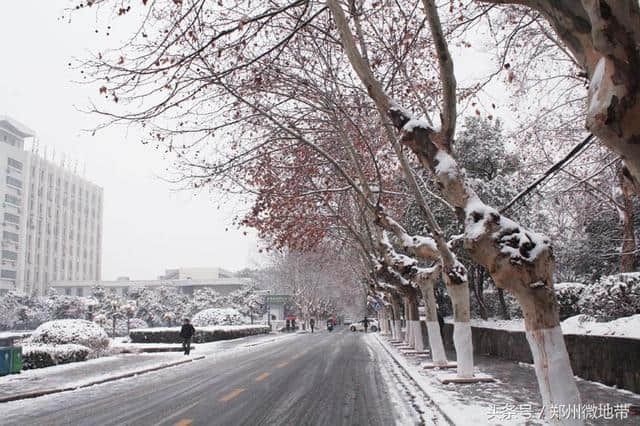 大雪刷屏朋友圈，这些句子让你更有格调地晒雪