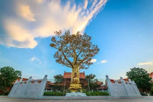 住山居别野1间1晚+自助早餐+巴伐利亚国医国药温泉票2张