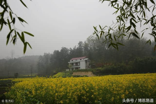 刻入骨髓的思乡之情：落叶他乡树，寒灯独夜人