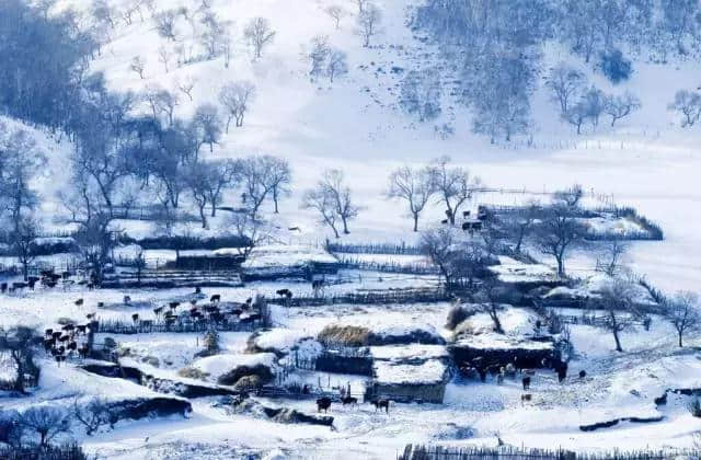 明日大雪：关于雪的古诗美了整个冬天！