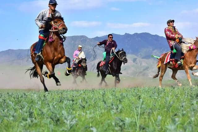 甘肃肃南：中国丝路大赛马带动旅游业及马产业蓬勃发展