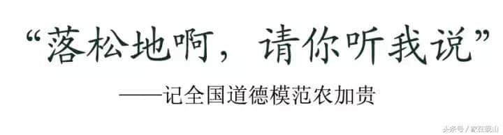 寒冷的冬天，读完这篇走心文章《落松地啊，你听我说》心里暖暖的