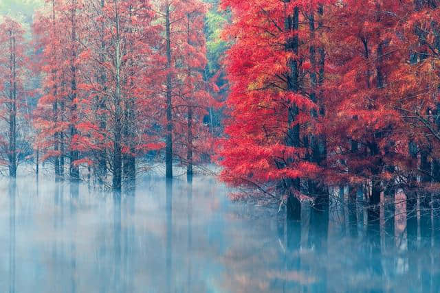 在静美的初秋里，读99句带有“秋”的诗词