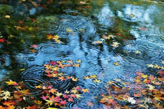 秋天的雨，绵绵不绝，盘点哪些凄美绝伦的关于秋雨的古诗词