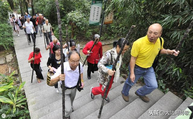 一秦诗歌：岁岁重阳，今又重阳