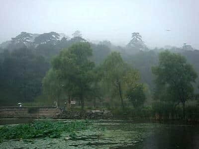 秋雨（诗词鉴赏）