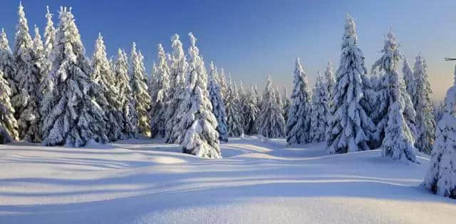 下雪岂能无诗？一边赏雪，一边读读这十首写雪的好诗词！