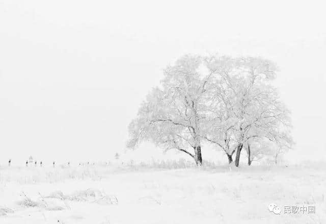 今日立冬｜沁园春·雪、塞北的雪、梅花雪……十首“雪之歌”送给大家！