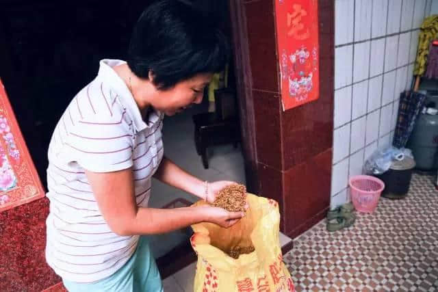 河南地 | 好一朵美丽的素馨花