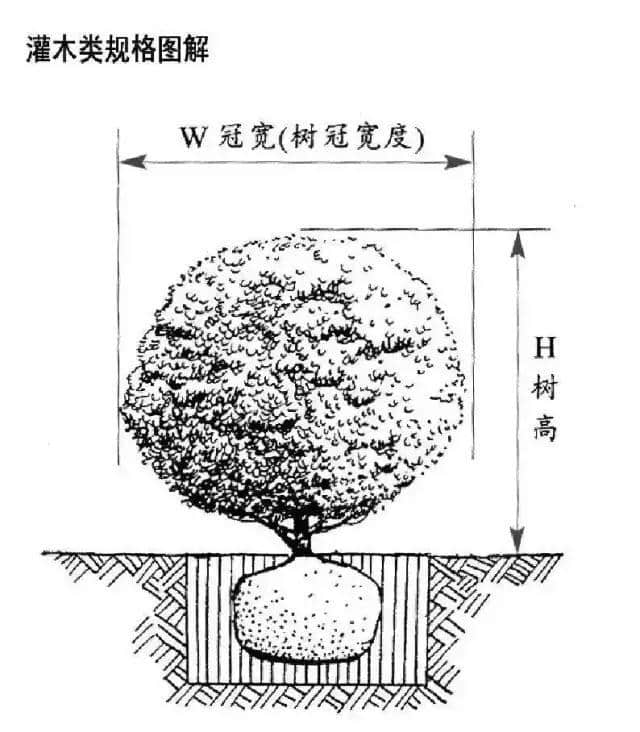 写给园林人的专业知识！