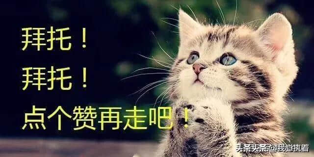 梦想诗一首