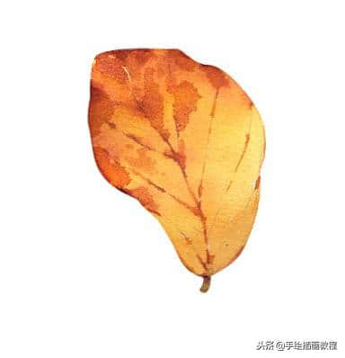 画一画秋天的叶子吧~秋叶水彩手绘