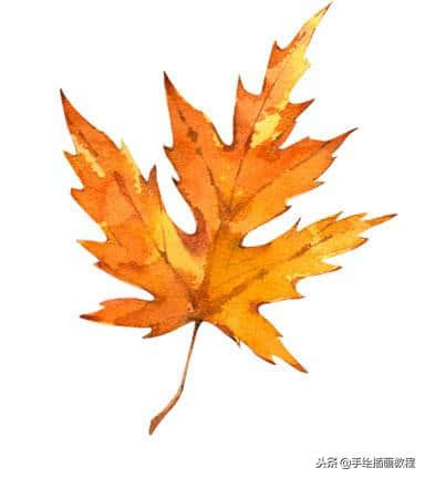 画一画秋天的叶子吧~秋叶水彩手绘
