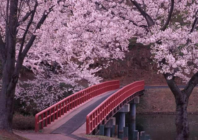 诗词里的桥，穿越千年的美