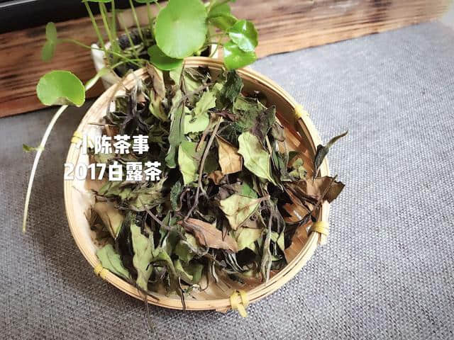 从五个小方面，直击春白茶与秋白茶的不同之处！