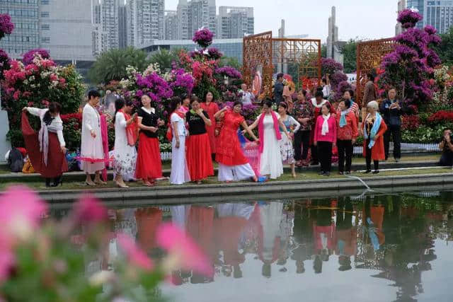 花卉科普知识传播者——“园林人”