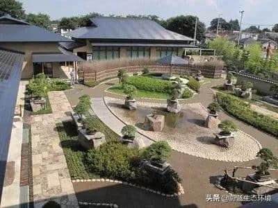 日本庭院花园-中苗会·日本罗汉松产业考察游学之旅