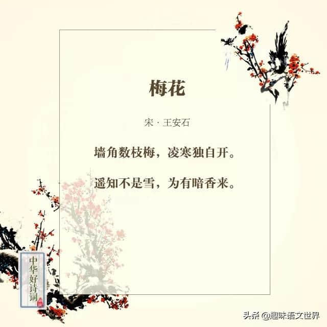 那些与梅花有关的诗词~