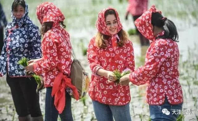 全城首发！“拓荒·乡愁”——中国盘锦插秧节 无限趣味 等你体验