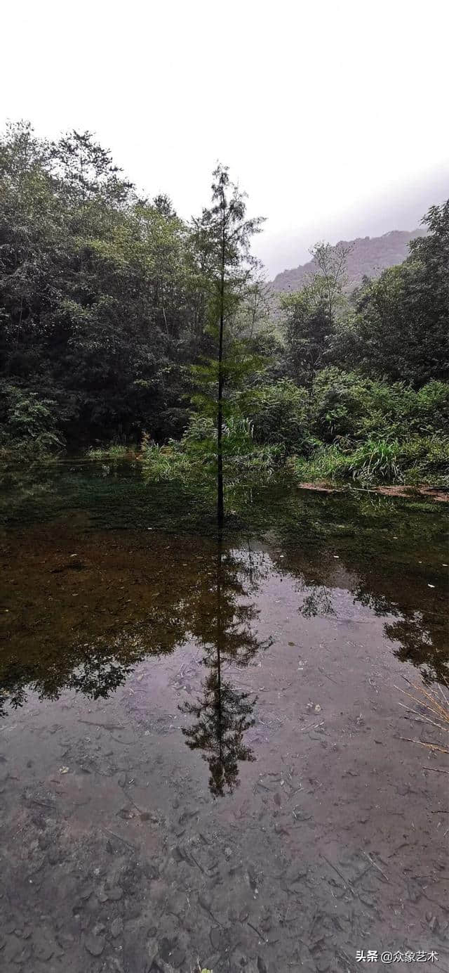 山涧·清幽 月出惊山鸟，时鸣春涧中