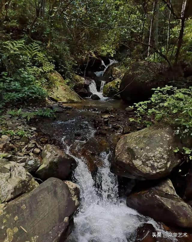 山涧·清幽 月出惊山鸟，时鸣春涧中