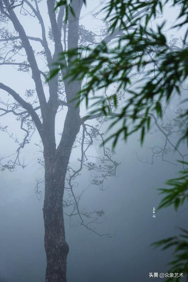 山涧·清幽 月出惊山鸟，时鸣春涧中