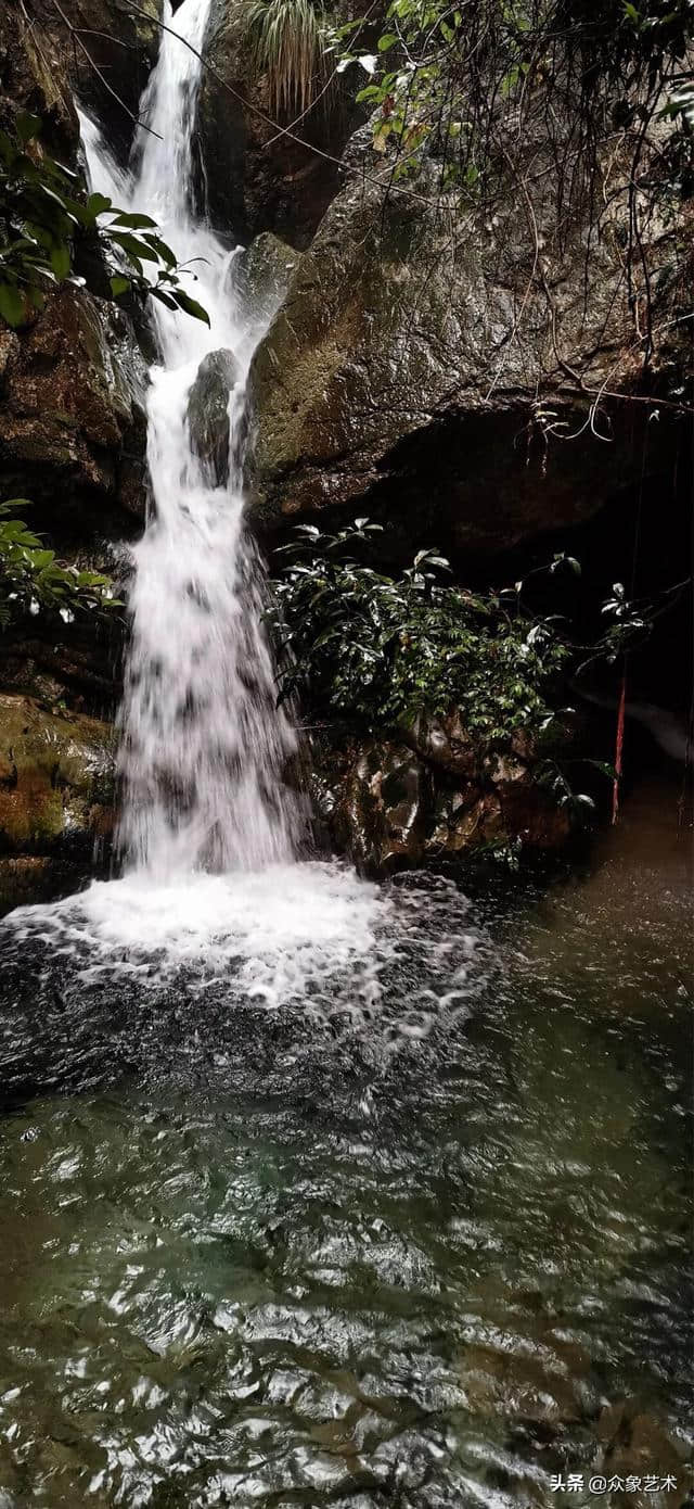 山涧·清幽 月出惊山鸟，时鸣春涧中