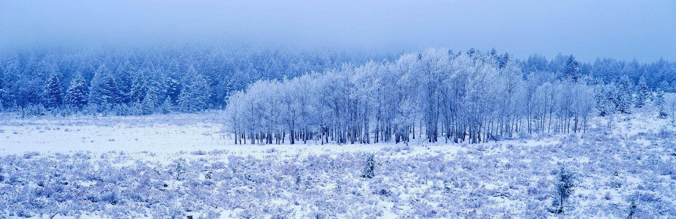 《轮台歌奉送封大夫出师西征》，讲述风雪的故事