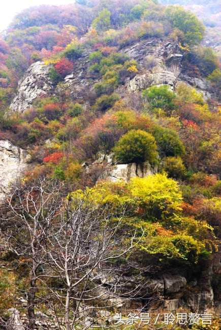 终南山诗精选十首 君问终南山，心知白云外