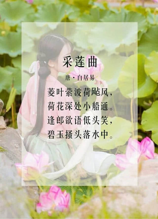 六月莲花开，九首关于莲花的诗词，分享给大家