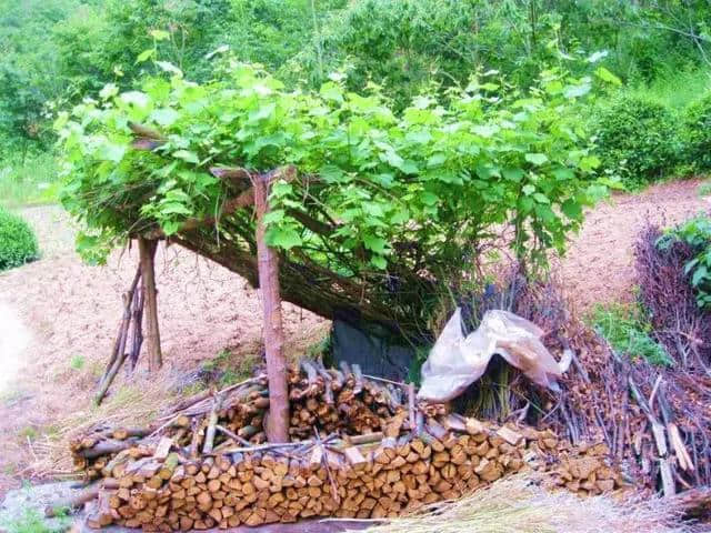 微拍拍｜竹溪农家：绿树村边合，青山郭外斜