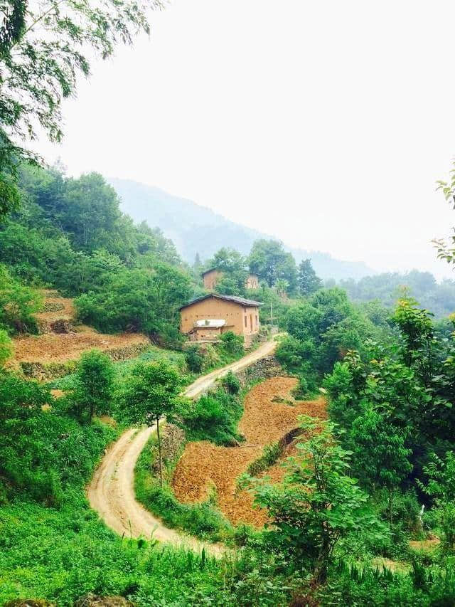 微拍拍｜竹溪农家：绿树村边合，青山郭外斜