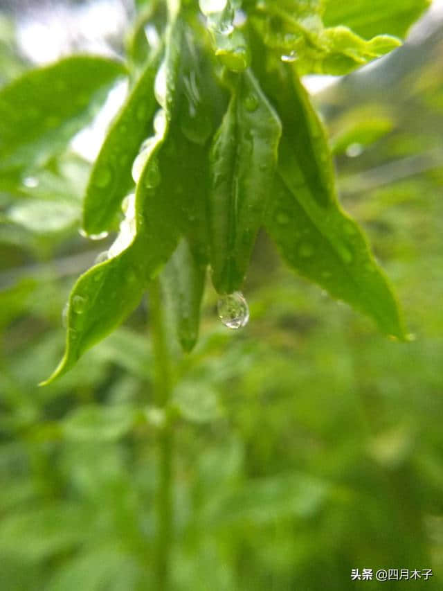 人生鼓励坚强的句子，绝对让你受益匪浅！