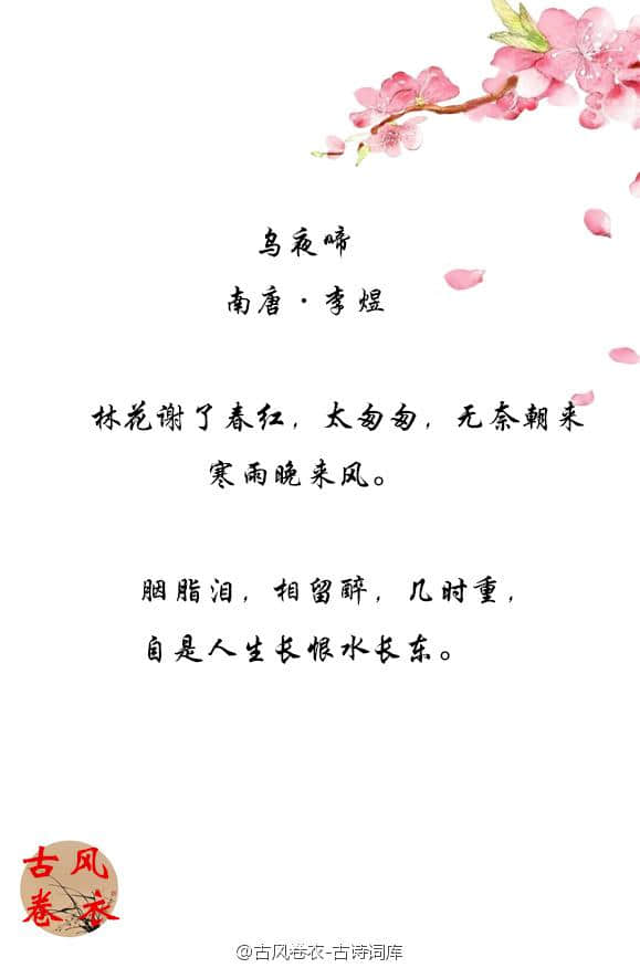 落花无声，你最喜欢哪些带有花的诗词？