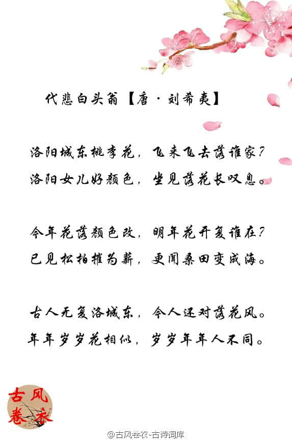 落花无声，你最喜欢哪些带有花的诗词？