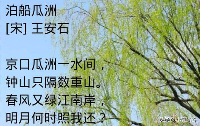 第50个地球日，读读那些带“绿”的诗句，让世界绿意盎然