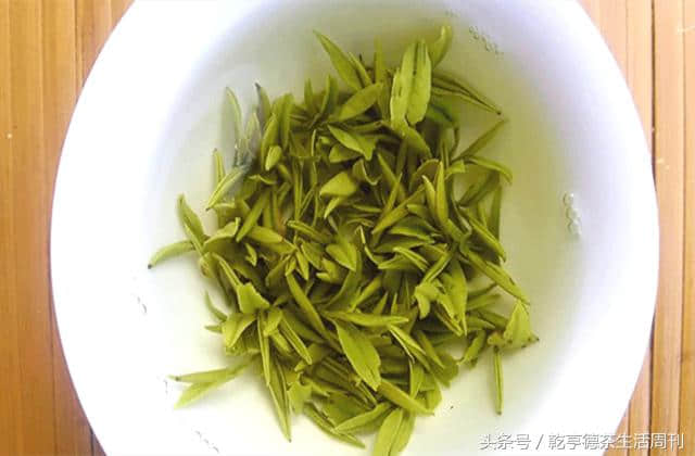 茶香中国——江山绿牡丹