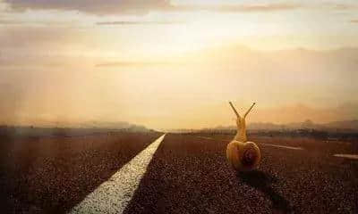 人生就是一条路，路漫漫其修远兮