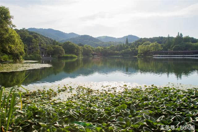 杭州浴鹄湾——隐在山水间的宁静