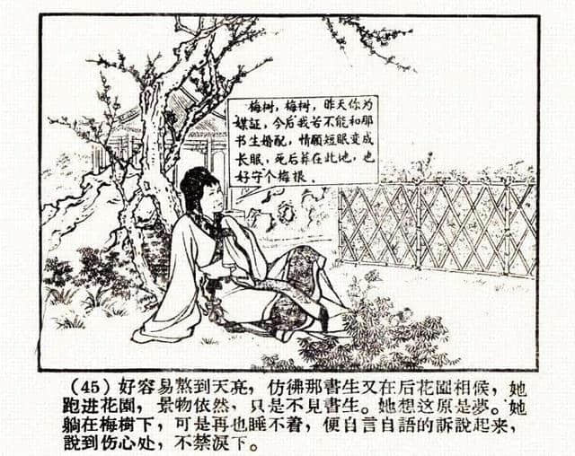 「DD」古代故事连环画：《牡丹亭》