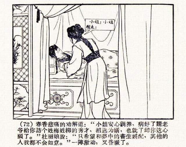 「DD」古代故事连环画：《牡丹亭》