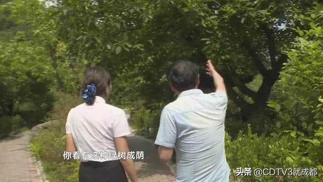 这个小长假去哪儿？鹤鸣山深处，寻找被隐藏的“世外桃源”