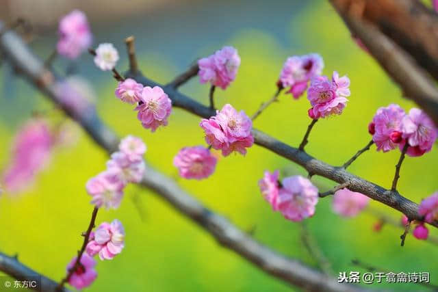 春天来了，赏春时先来读一读古人诗词中的“孟春、仲春、季春”